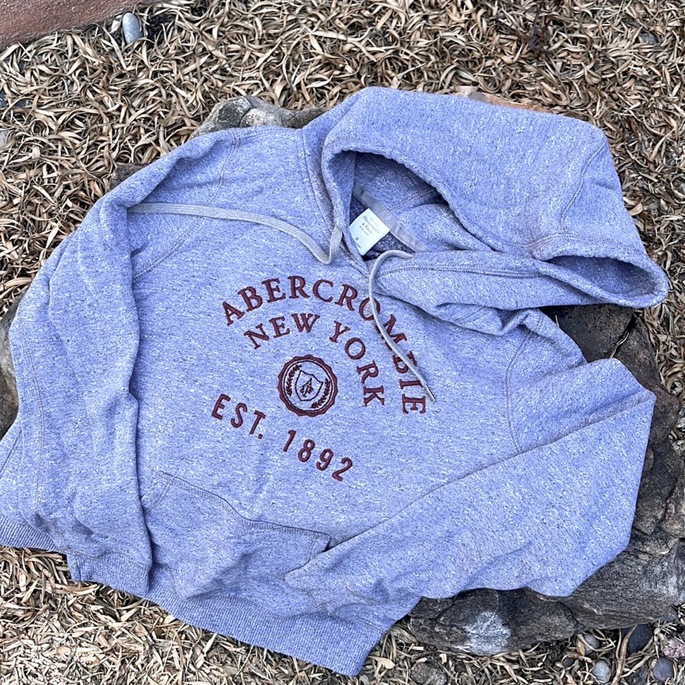 Abercrombie & Fitch hoodie